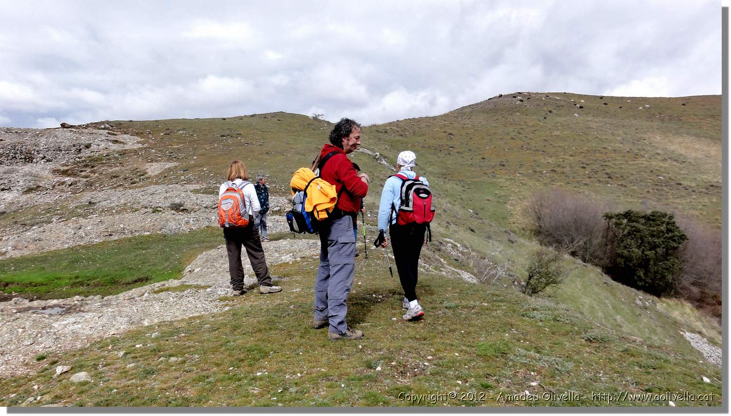 Viguera_34.jpg