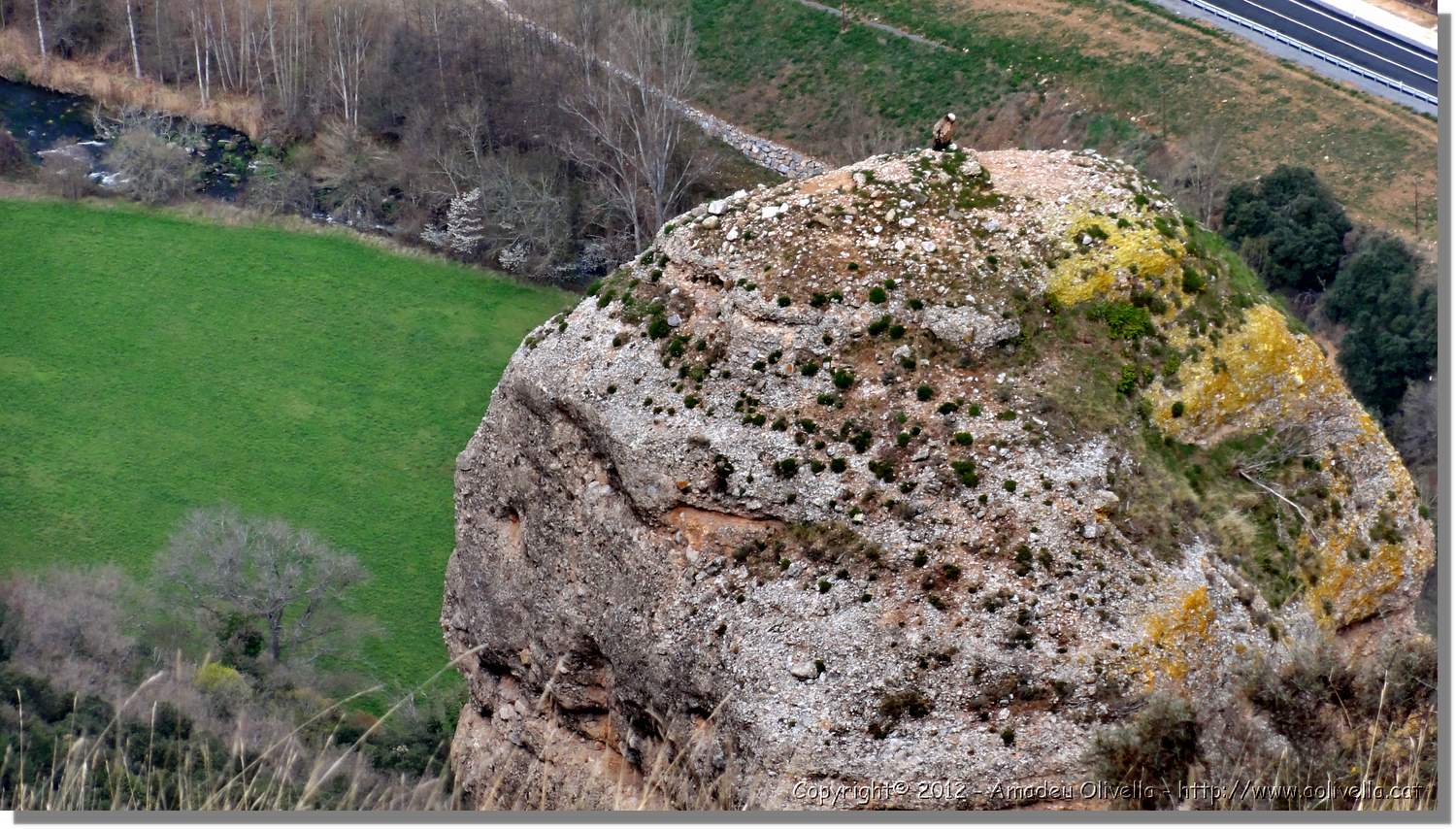 Viguera_39.jpg