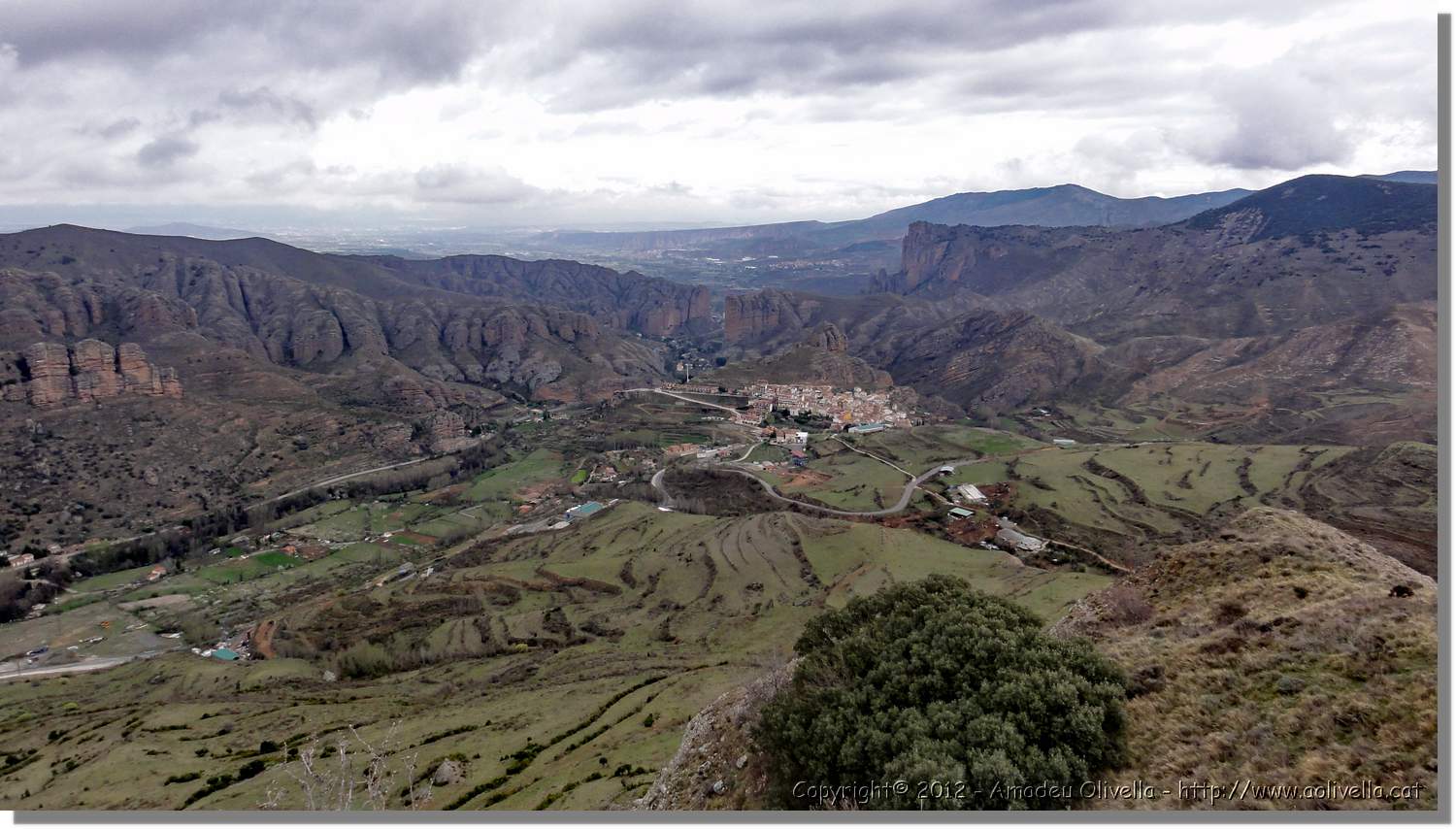 Viguera_43.jpg