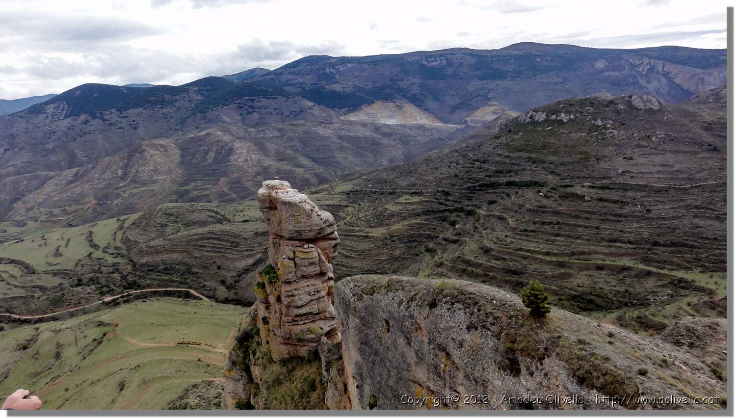 Viguera_44.jpg
