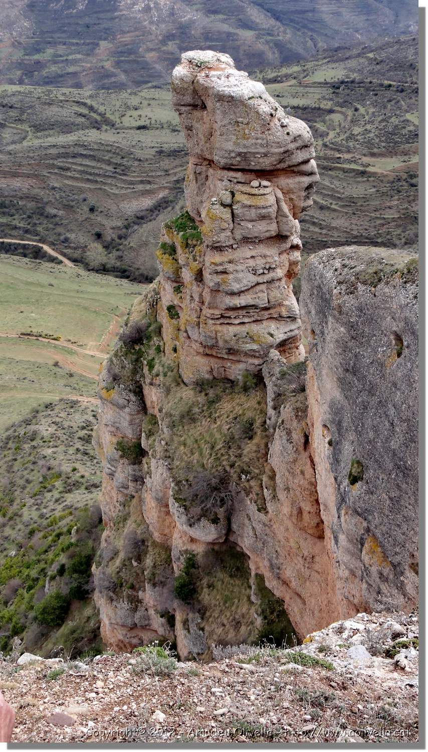 Viguera_45.jpg