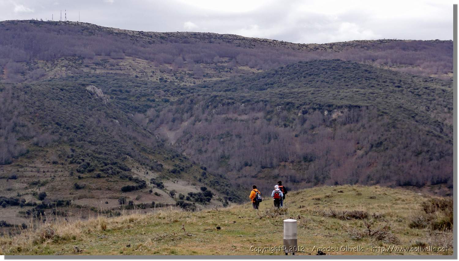 Viguera_49.jpg