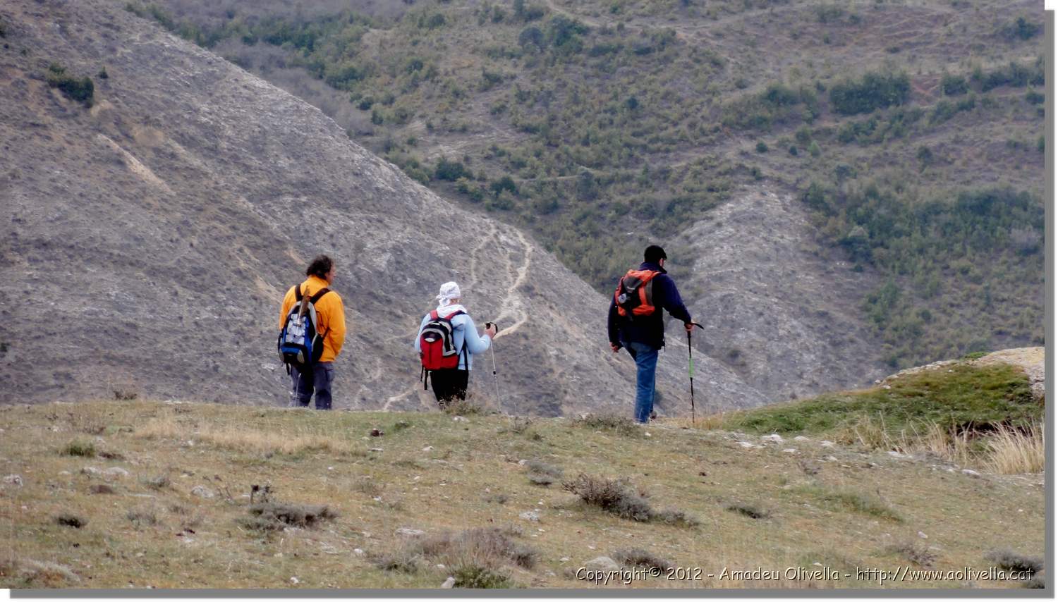 Viguera_52.jpg