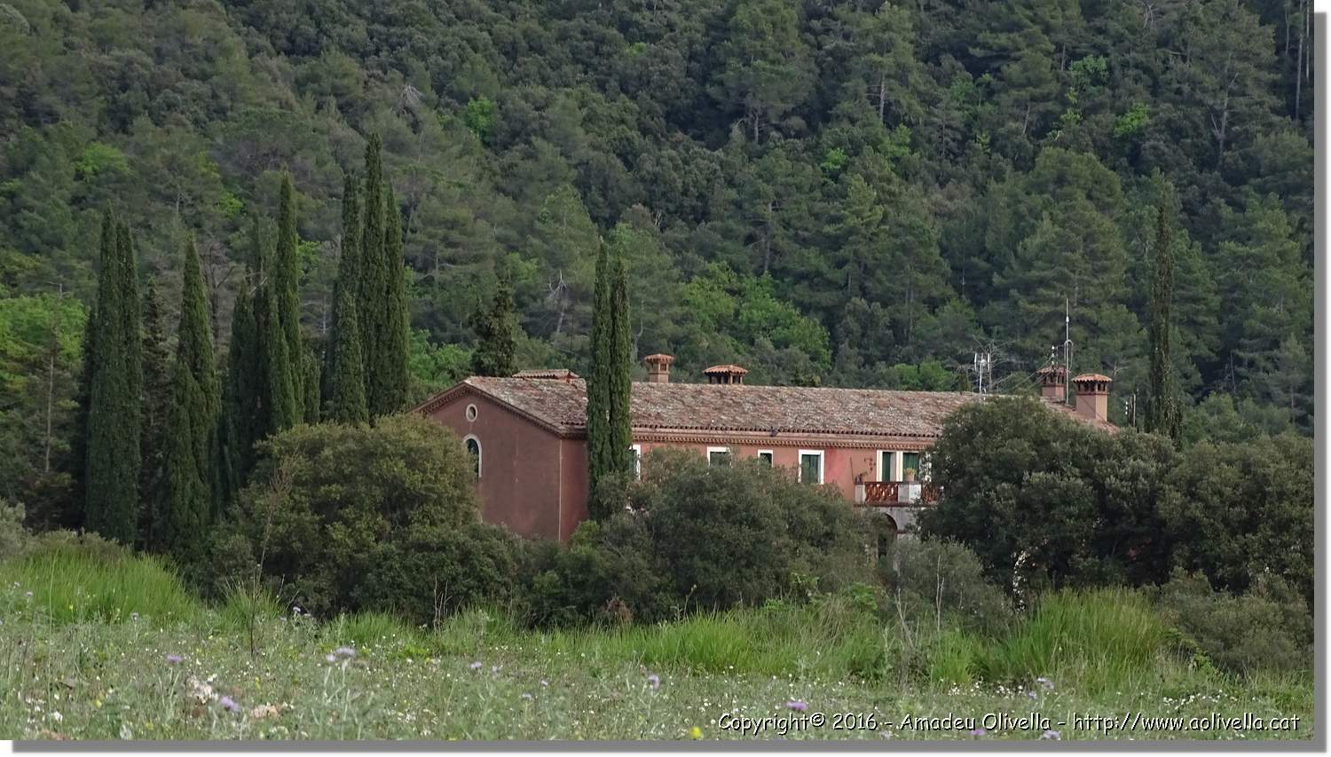 Llorenc_175.jpg