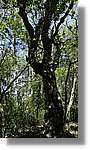 Llorenc_064.jpg