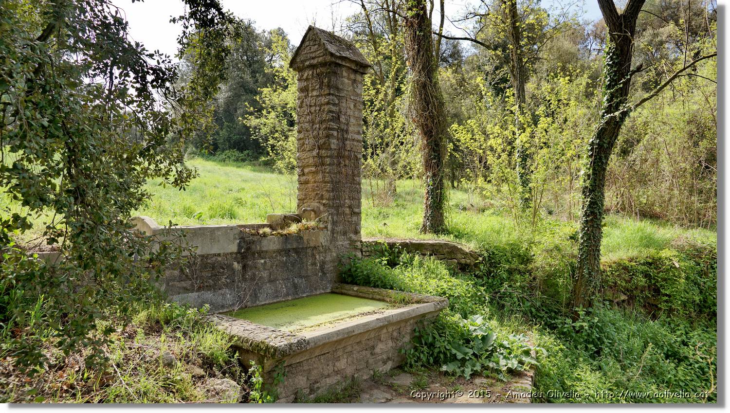Taradell_018.jpg