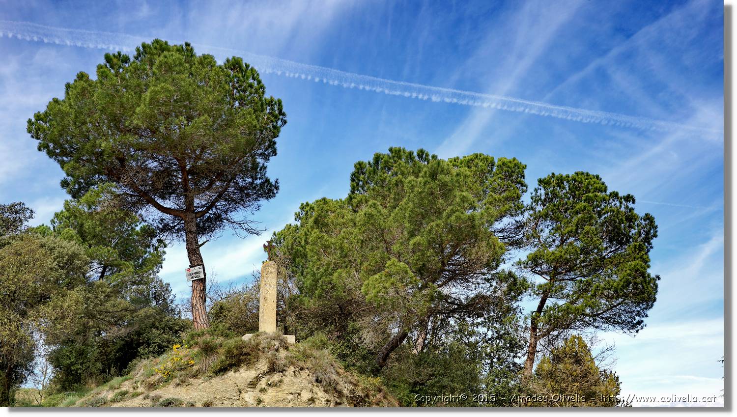Taradell_025.jpg