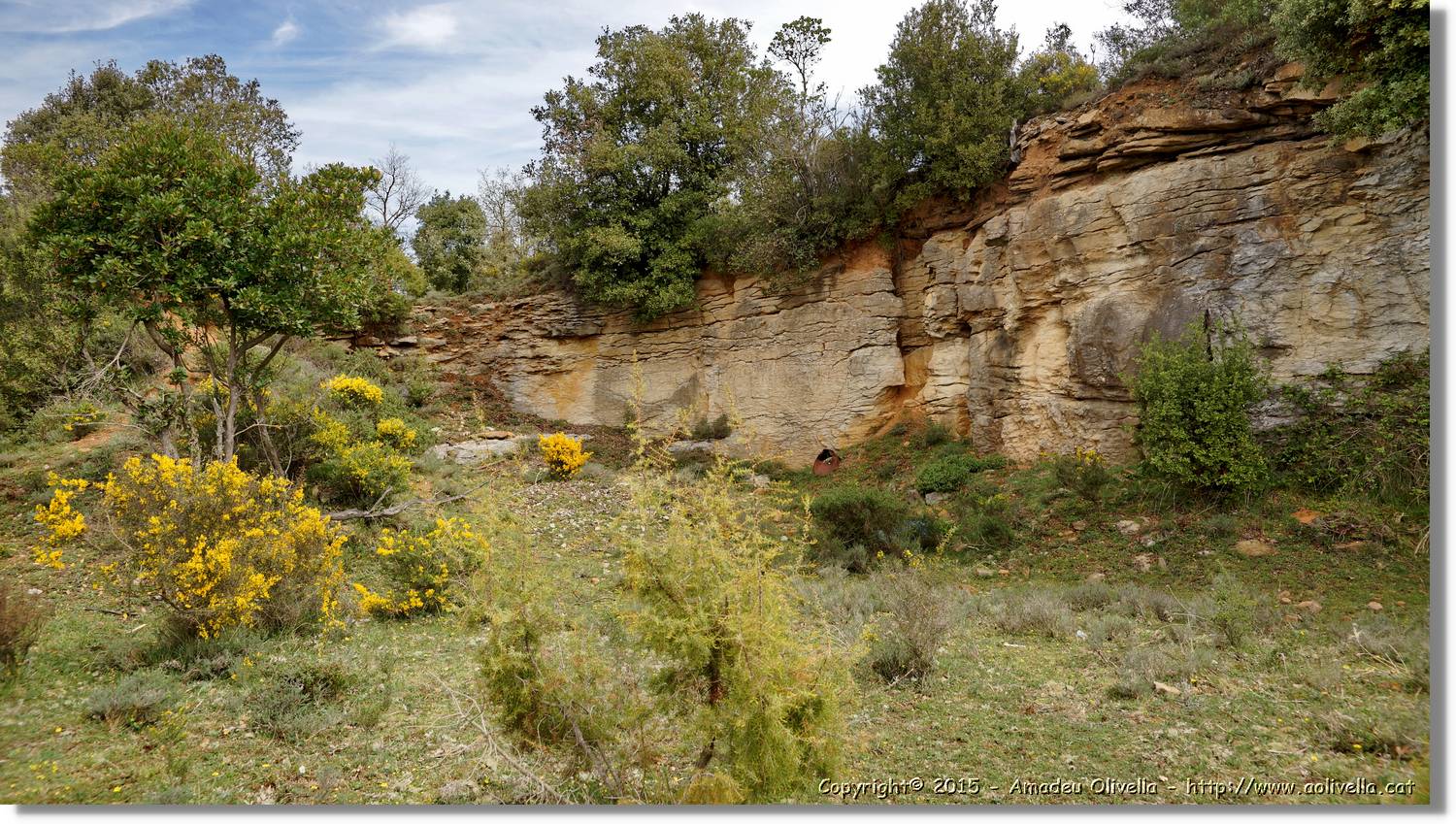 Taradell_033.jpg