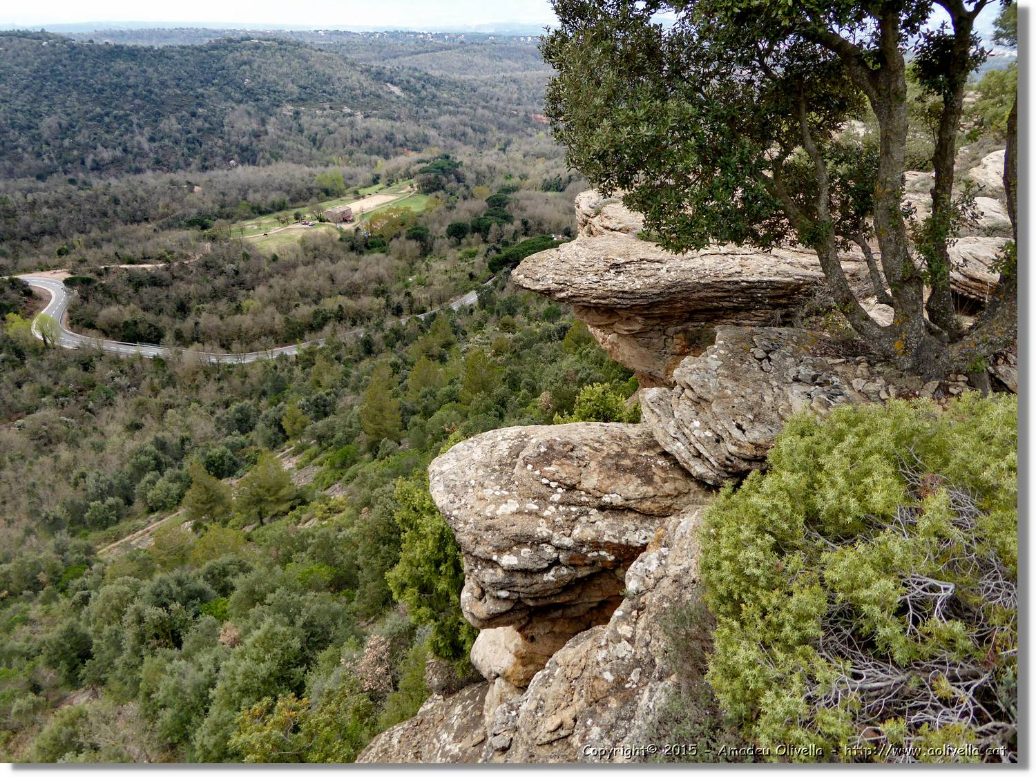 Taradell_039.jpg