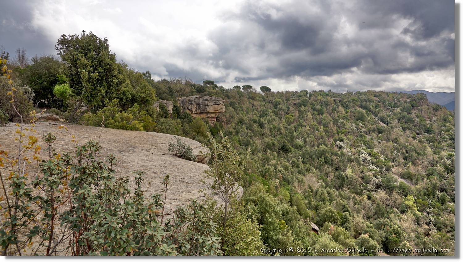 Taradell_051.jpg
