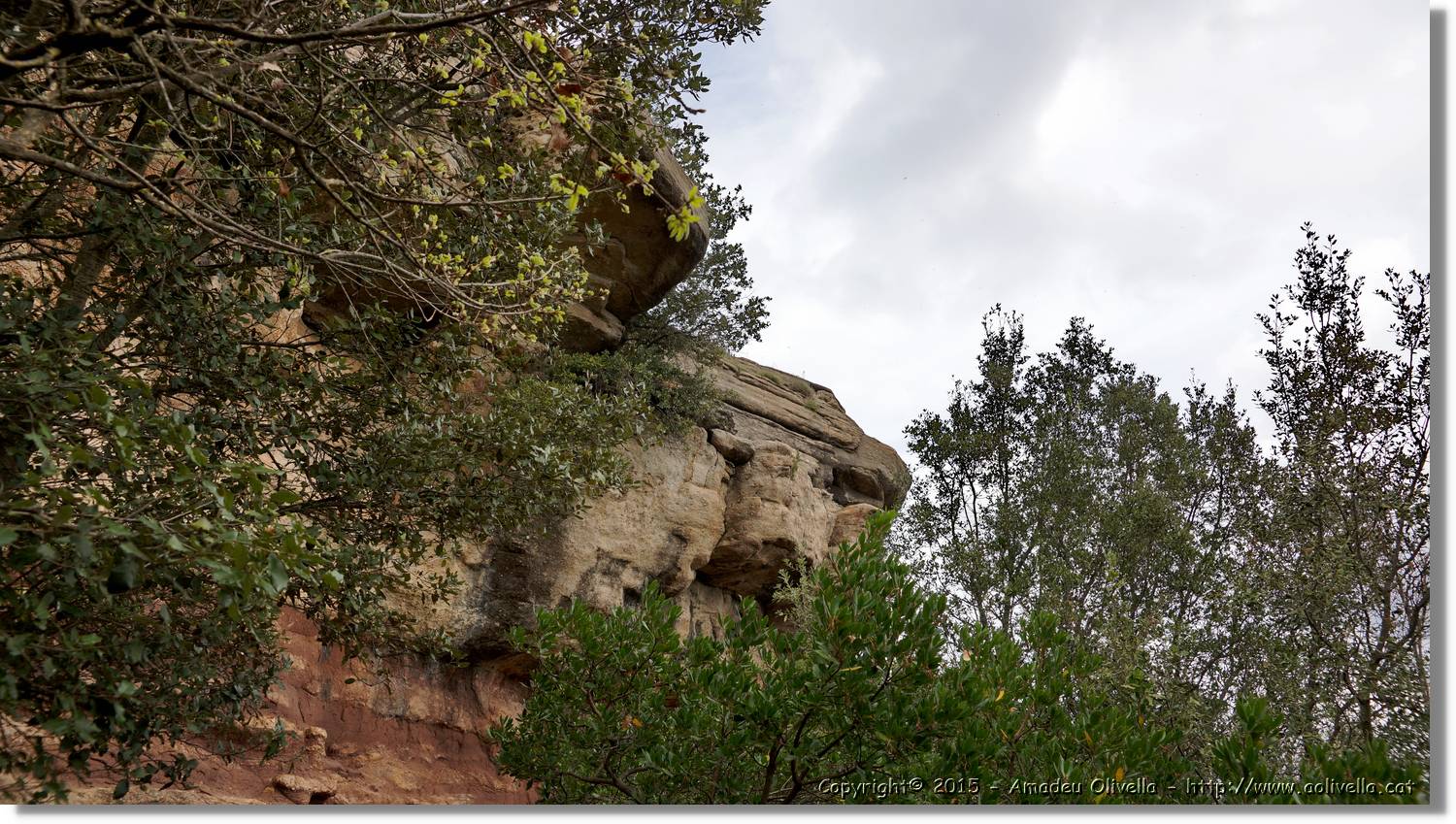 Taradell_078.jpg