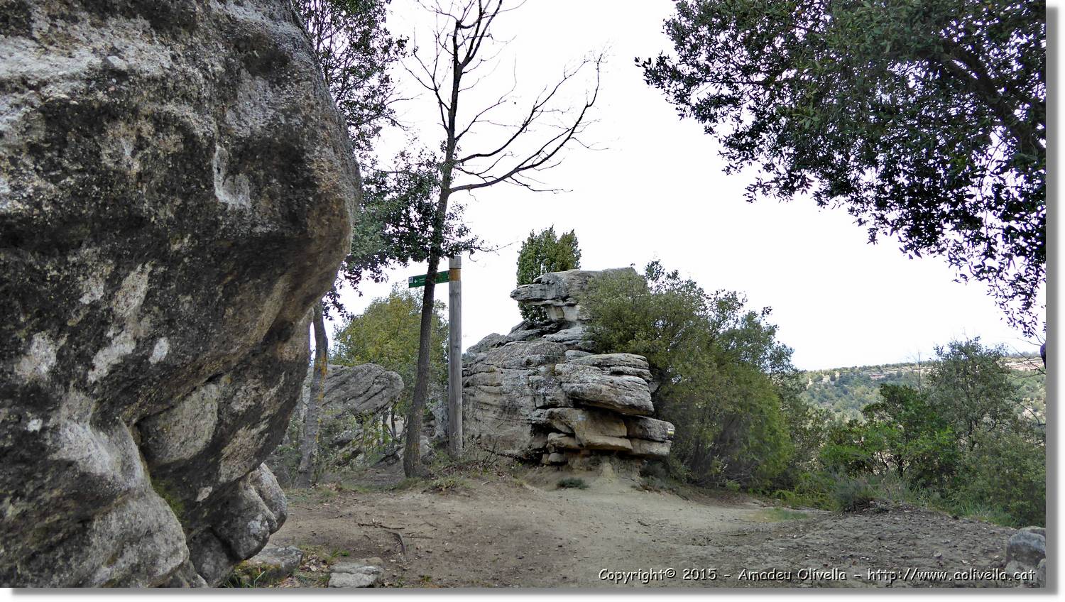 Taradell_090.jpg