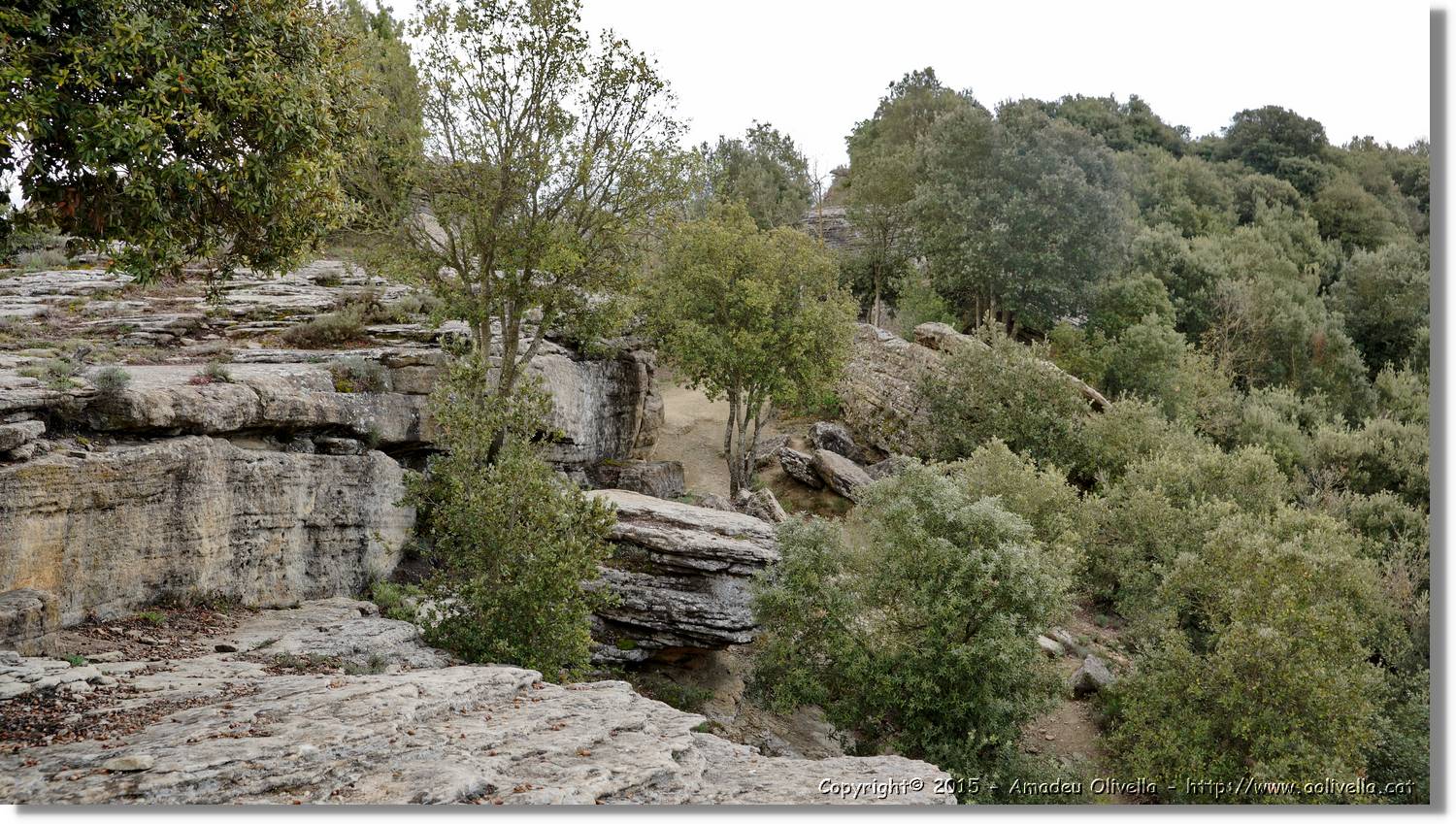 Taradell_097.jpg
