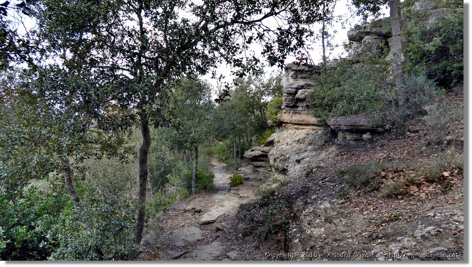 Taradell_099.jpg