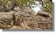 Taradell_076.jpg