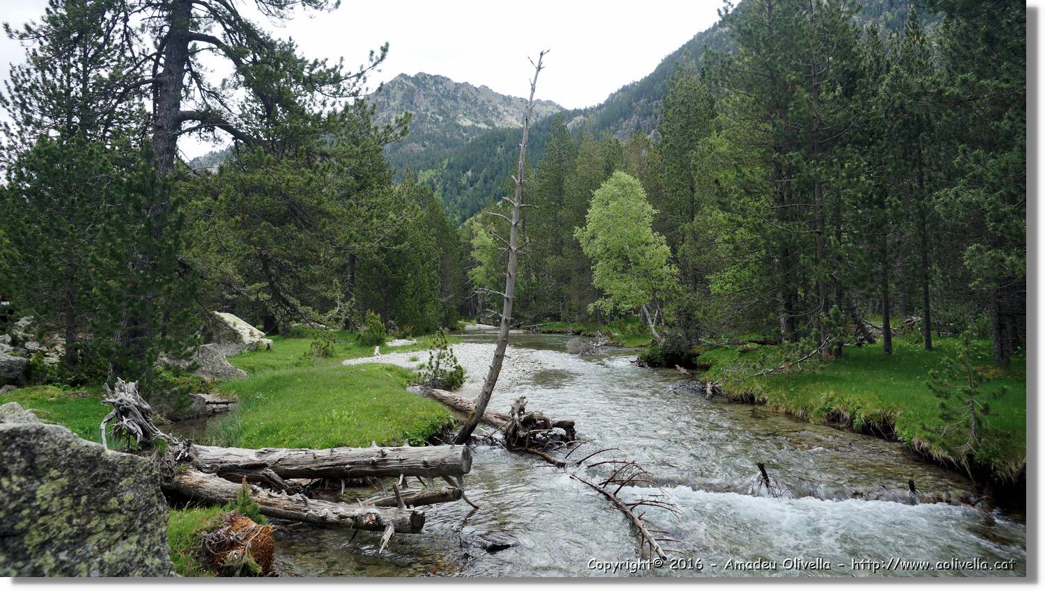 Aigüestortes_008.jpg
