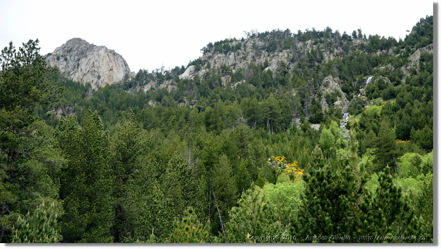 Aigüestortes_022.jpg