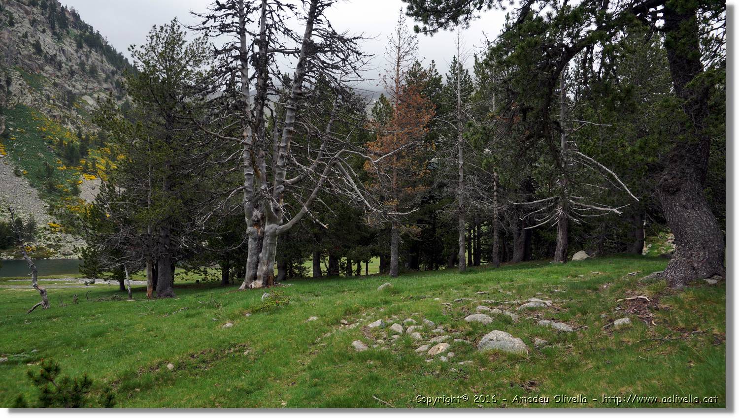 Aigüestortes_047.jpg