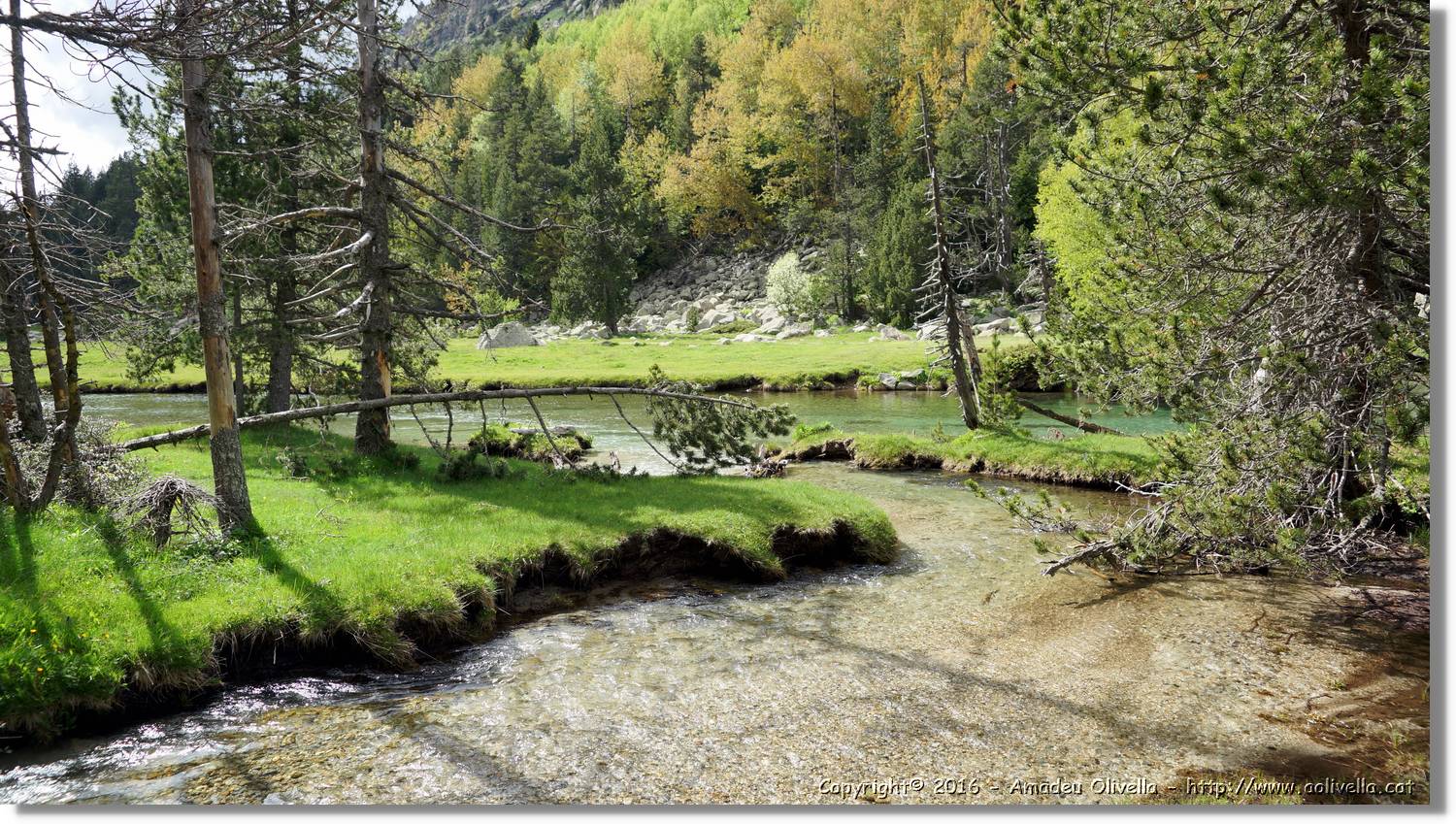 Aigüestortes_077.jpg