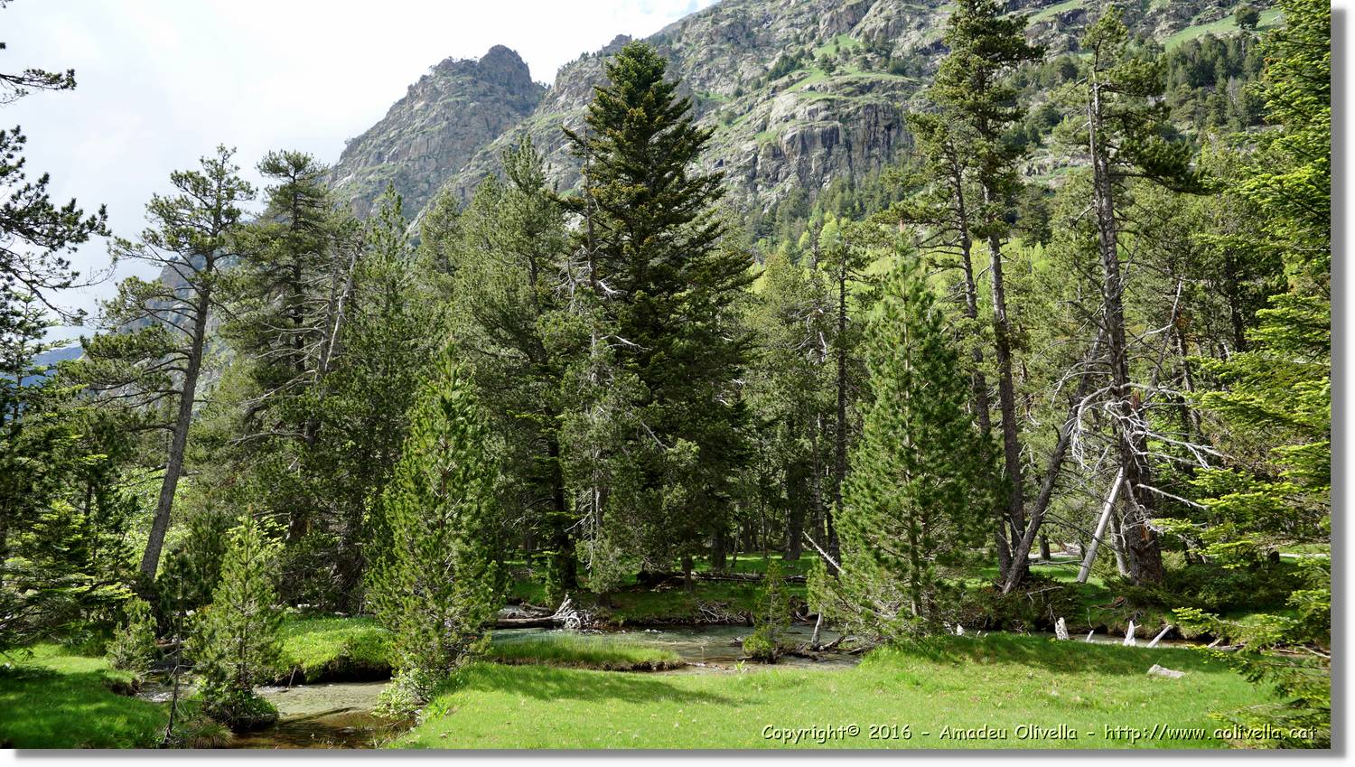 Aigüestortes_089.jpg