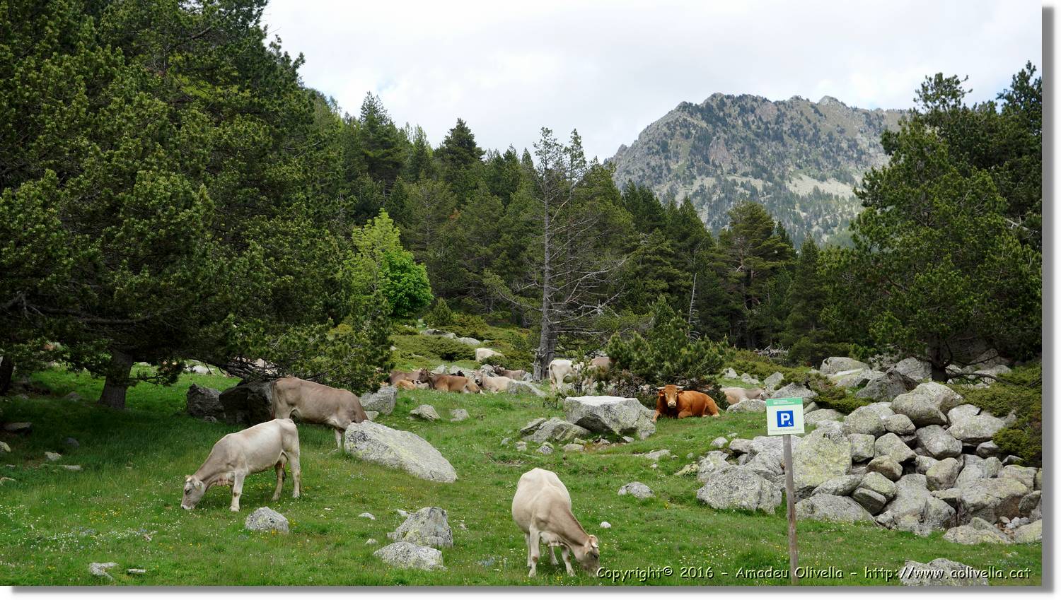 Aigüestortes_109.jpg