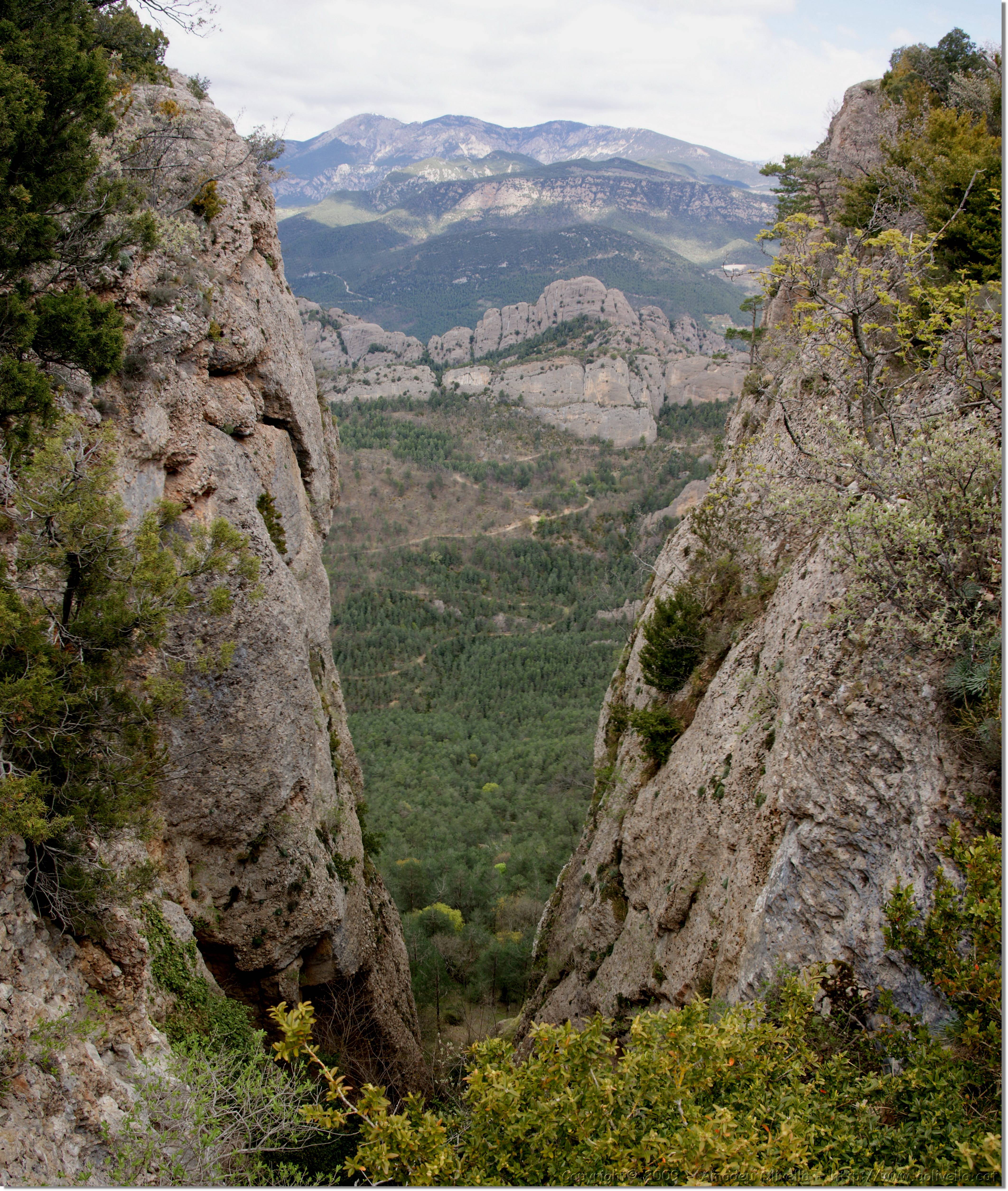 Panorama_08.jpg