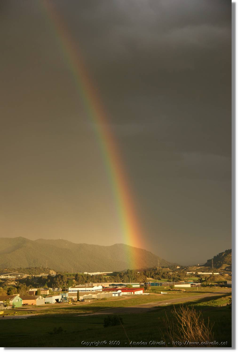 Odena_182.jpg
