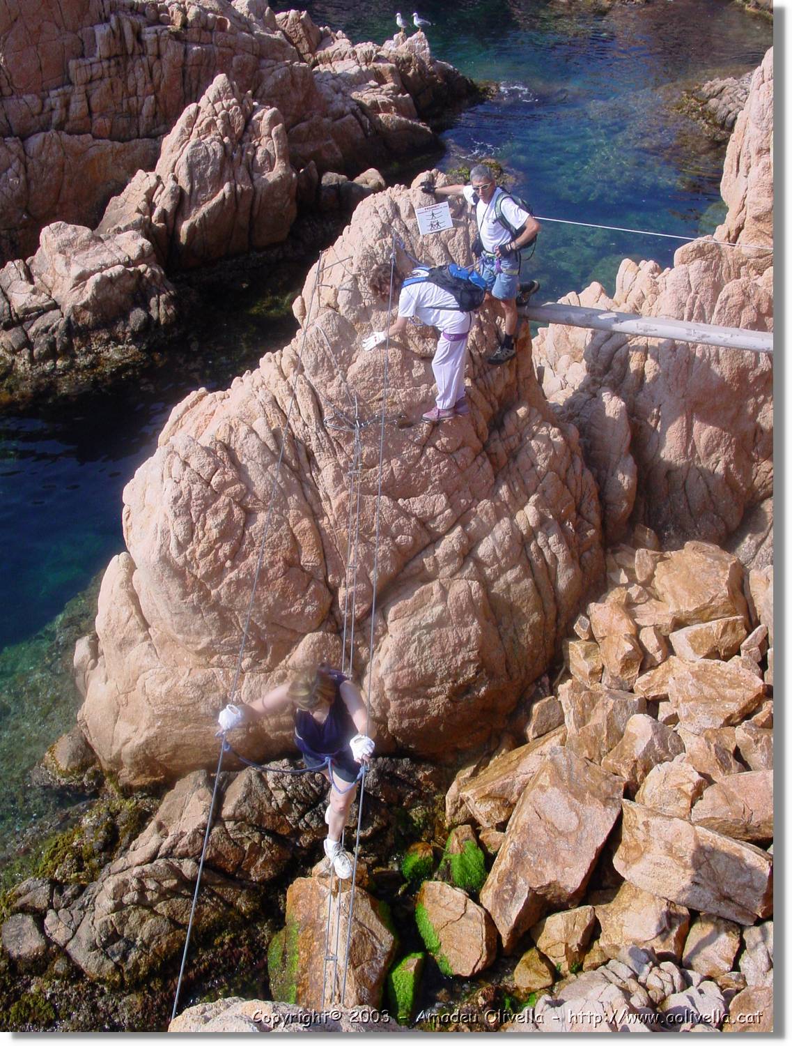 cala_026.jpg