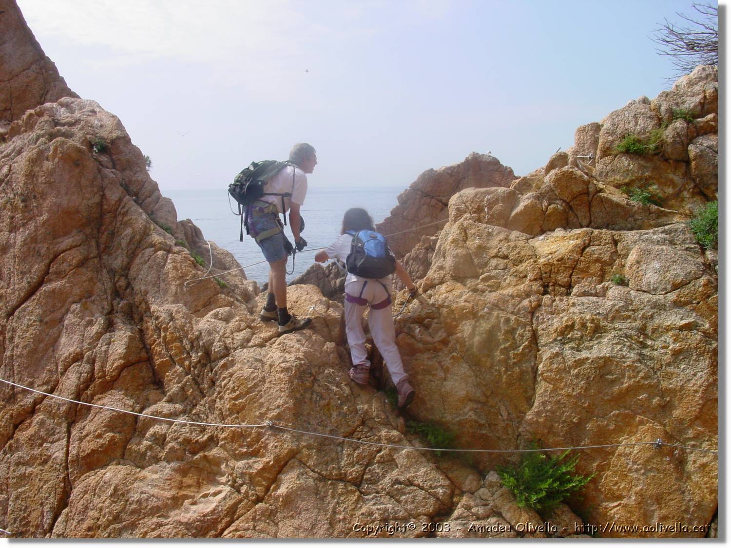 cala_045.jpg
