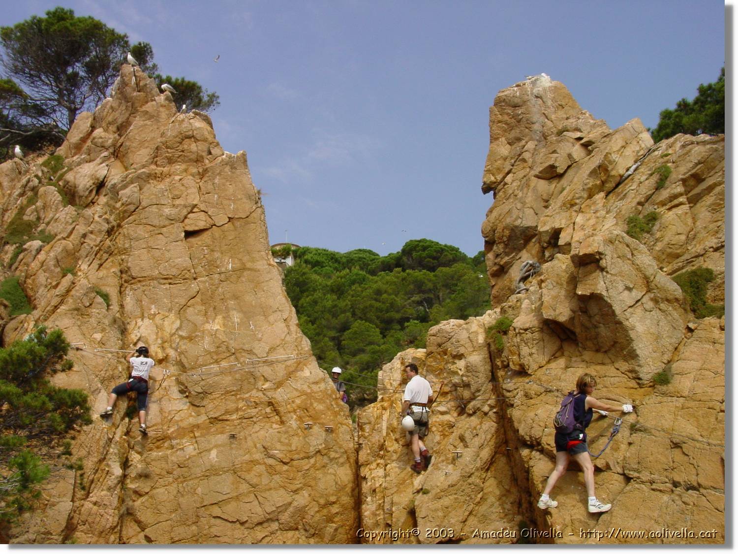 cala_055.jpg