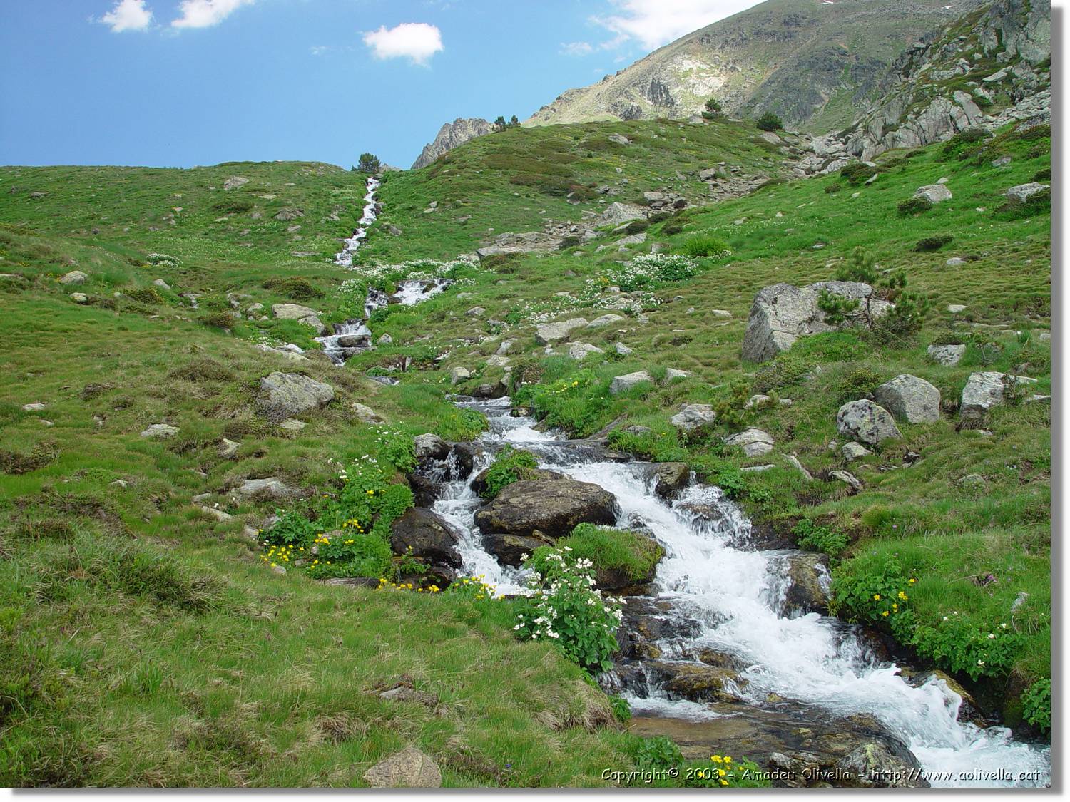 escobes_092.jpg