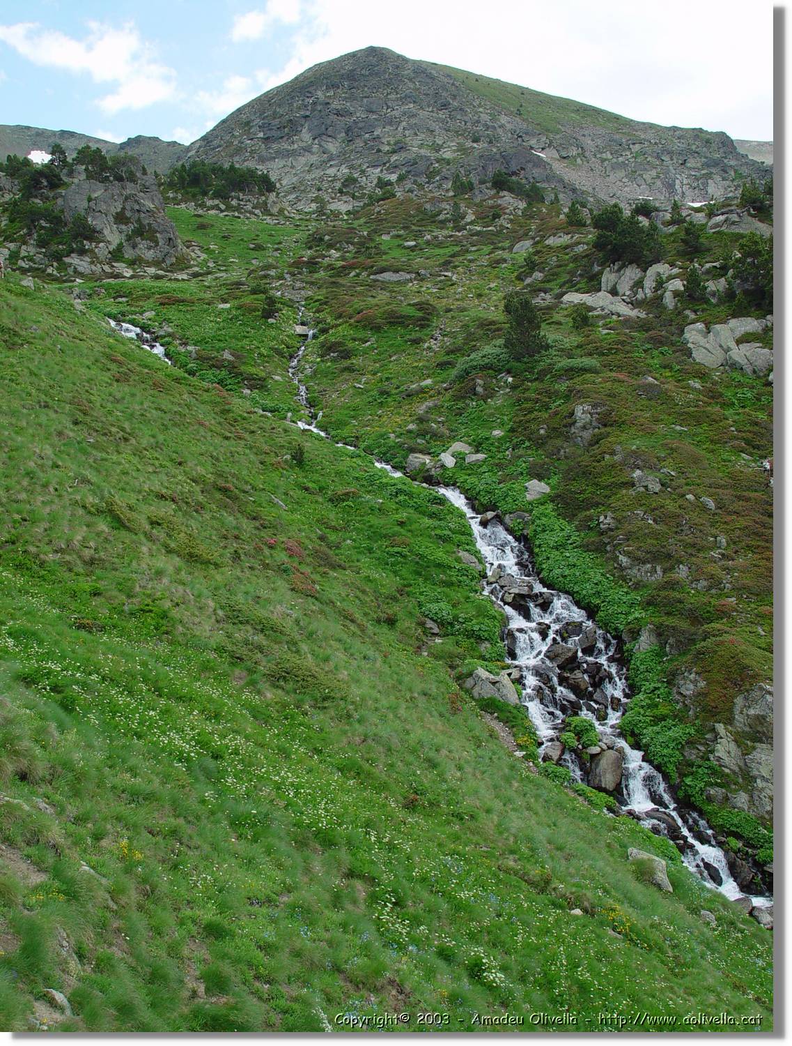 escobes_093.jpg