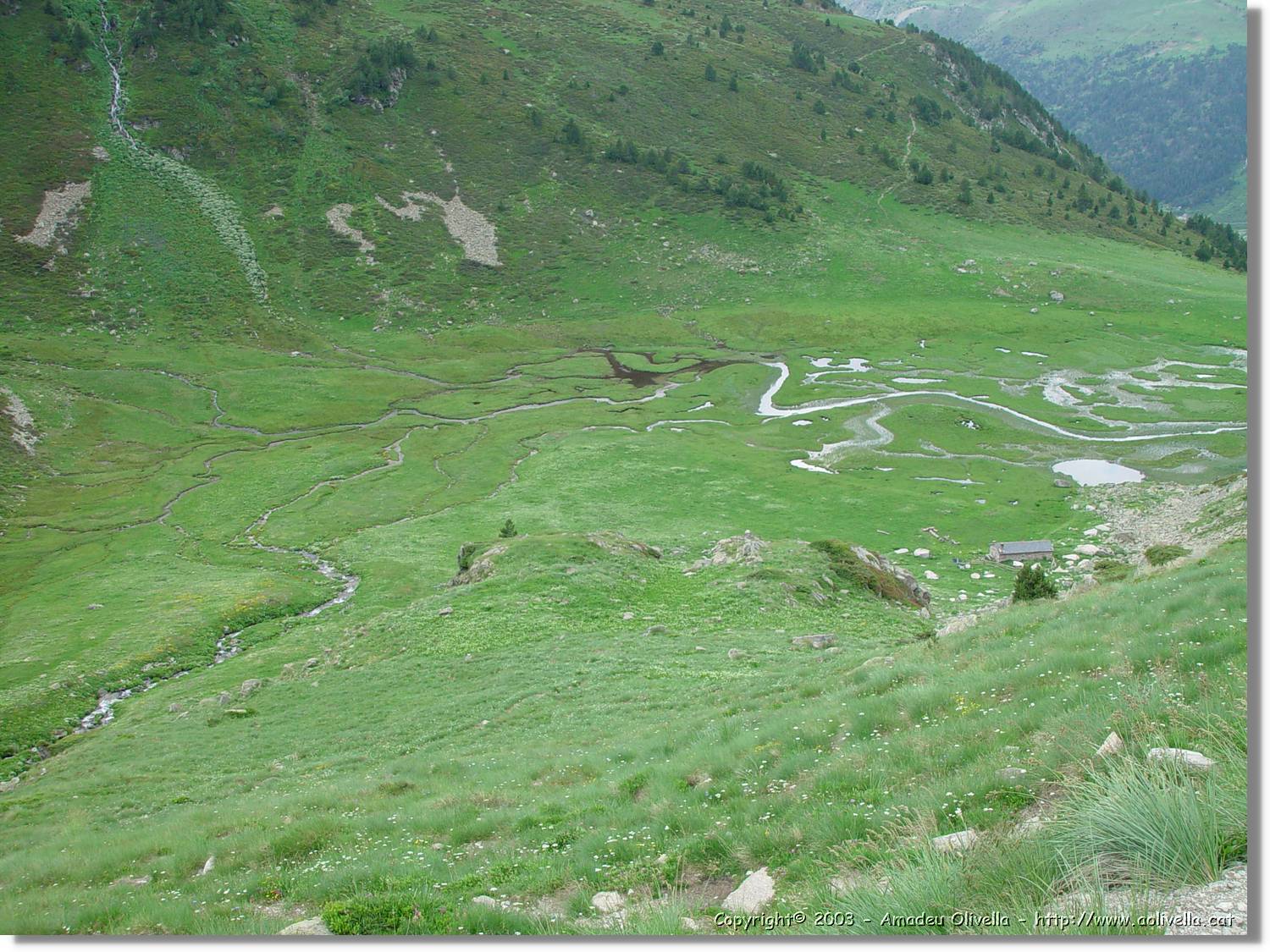 escobes_094.jpg