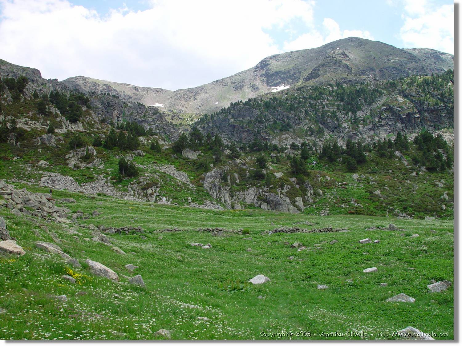 escobes_095.jpg