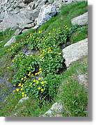 escobes_090.jpg
