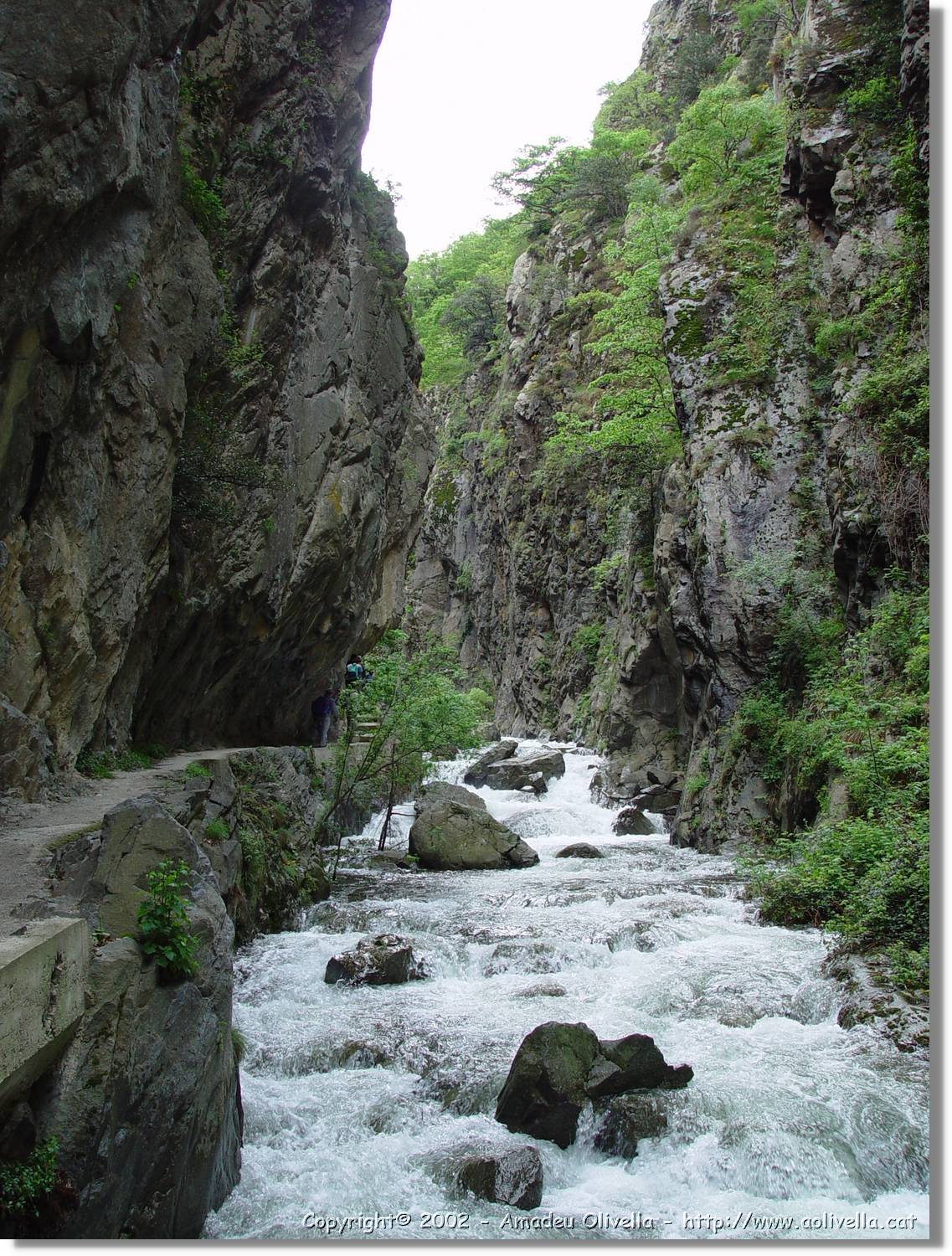 Gorges_004.jpg