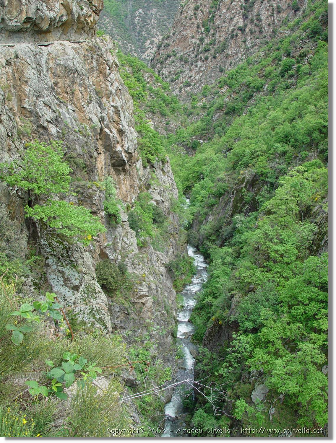 Gorges_014.jpg