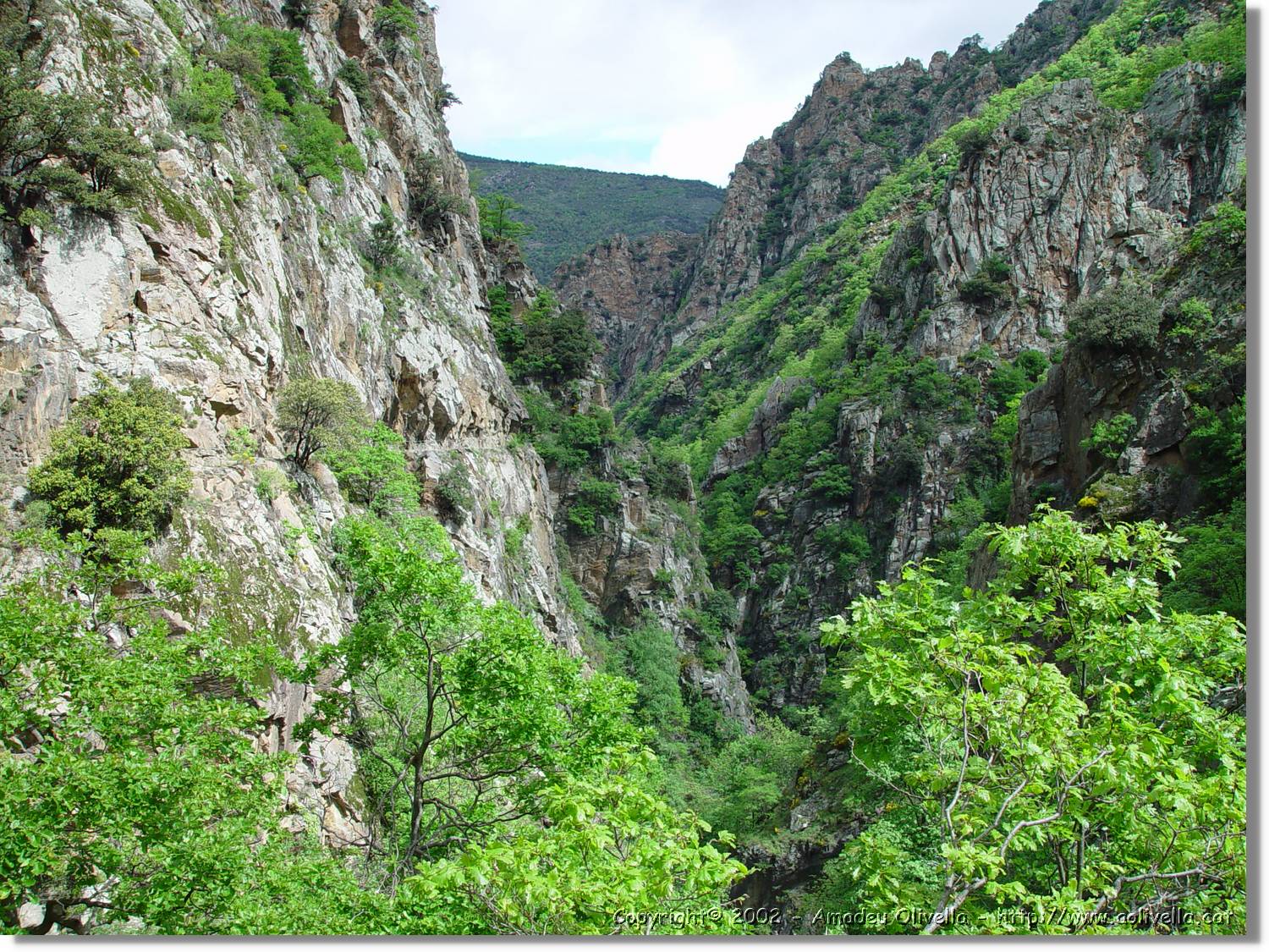 Gorges_016.jpg