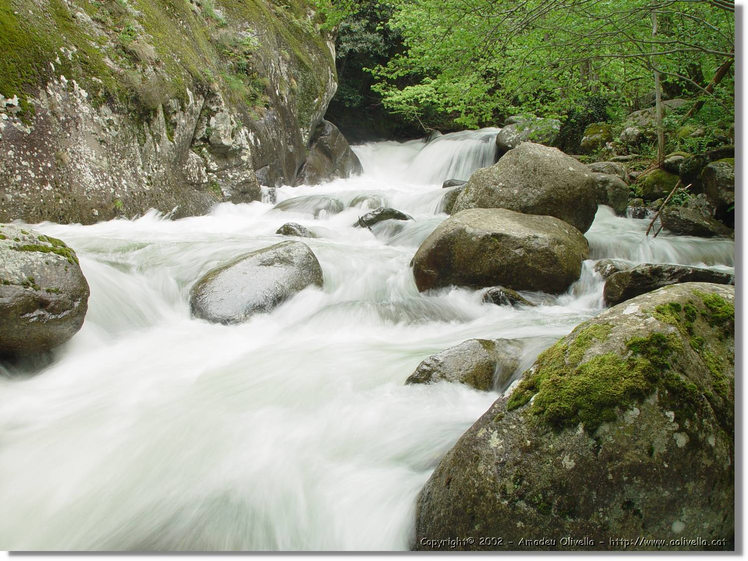 Gorges_046.jpg