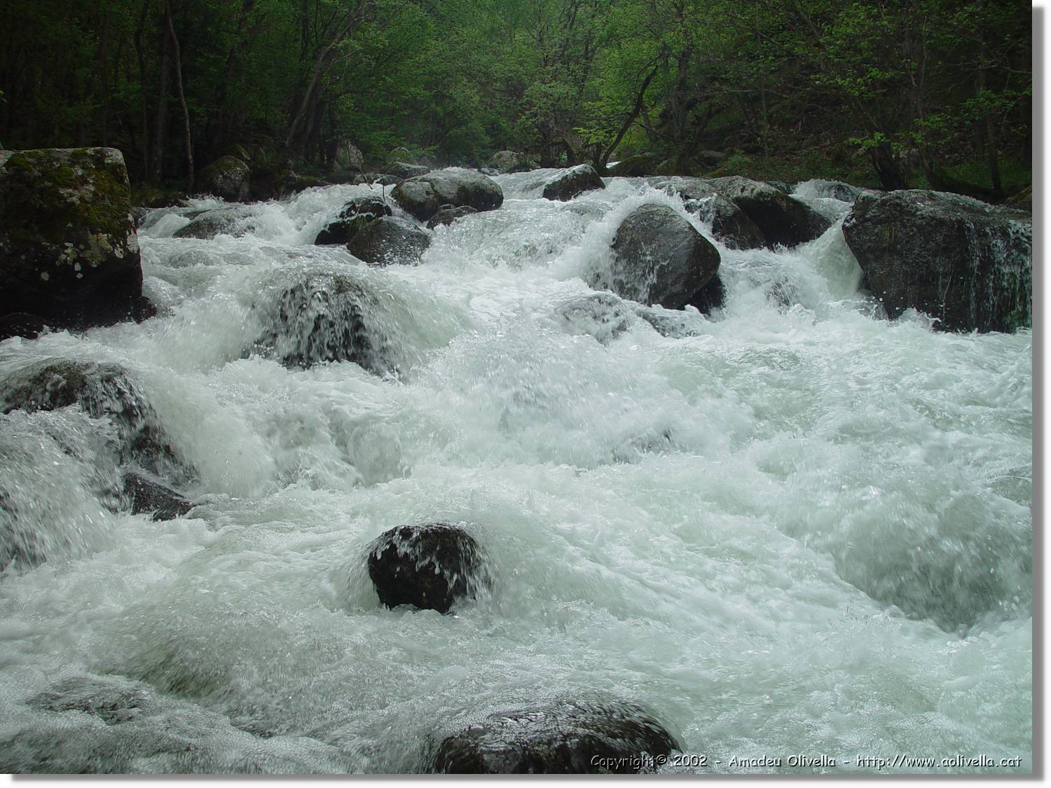 Gorges_047.jpg