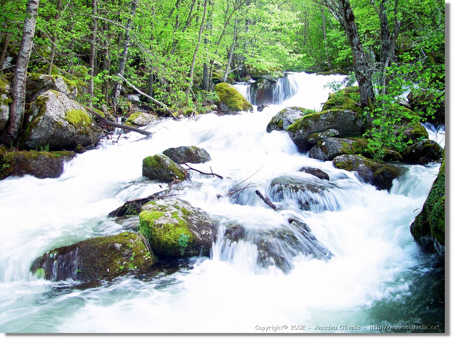 Gorges_056.jpg