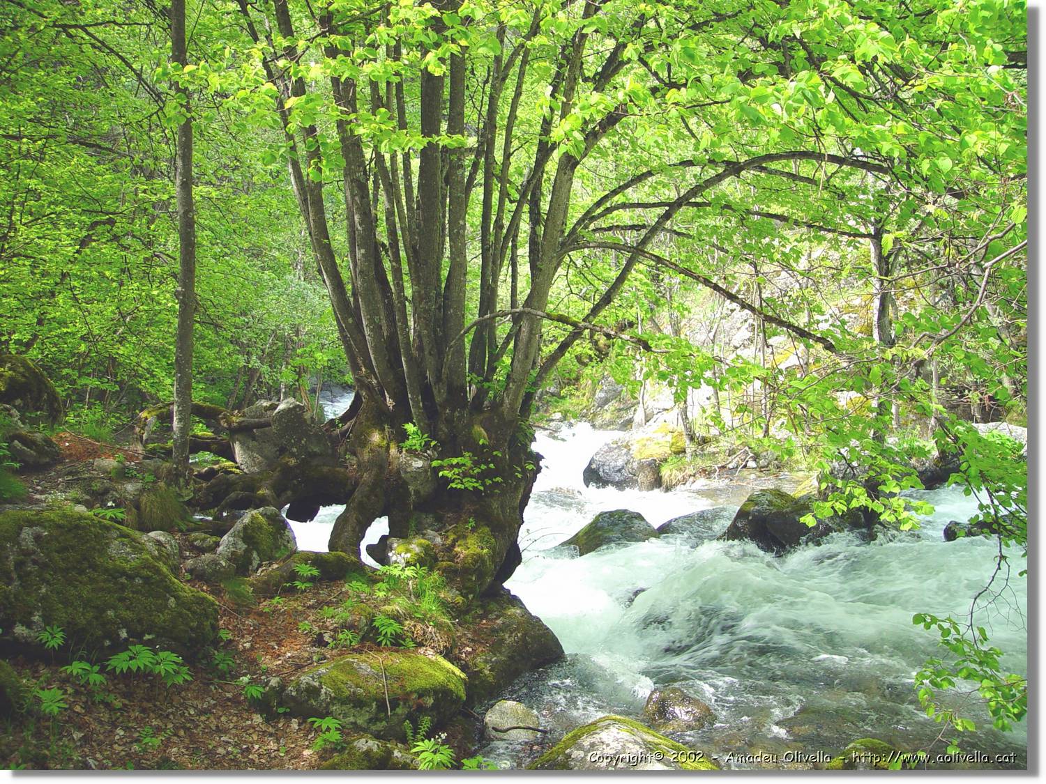 Gorges_057.jpg