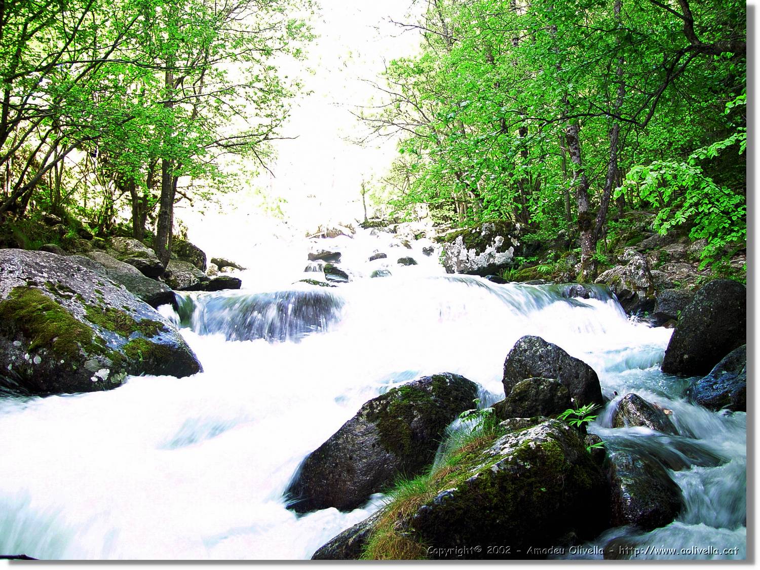 Gorges_058.jpg