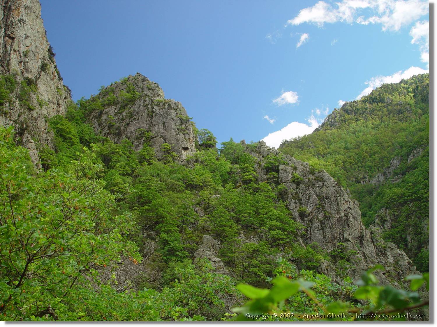 Gorges_071.jpg