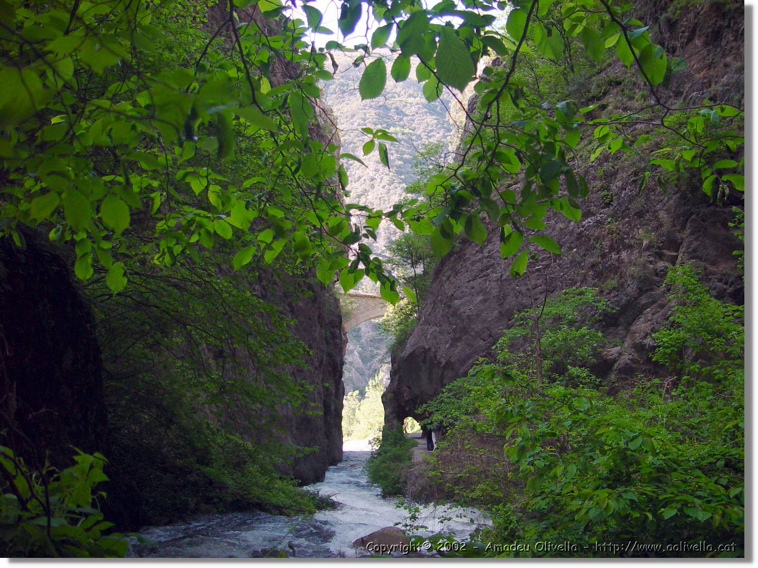 Gorges_075.jpg