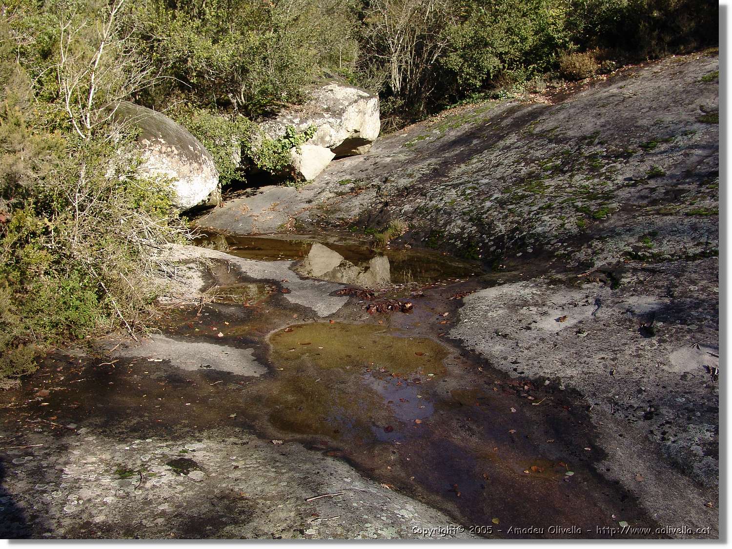 1Sobiranes_120.jpg