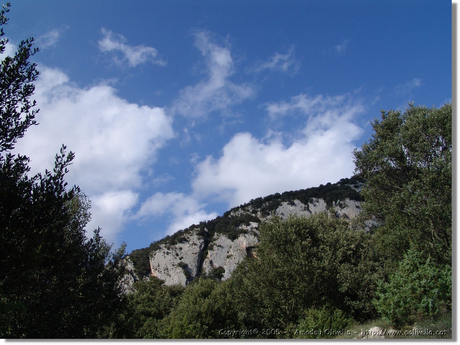 Garrotxa_048.jpg