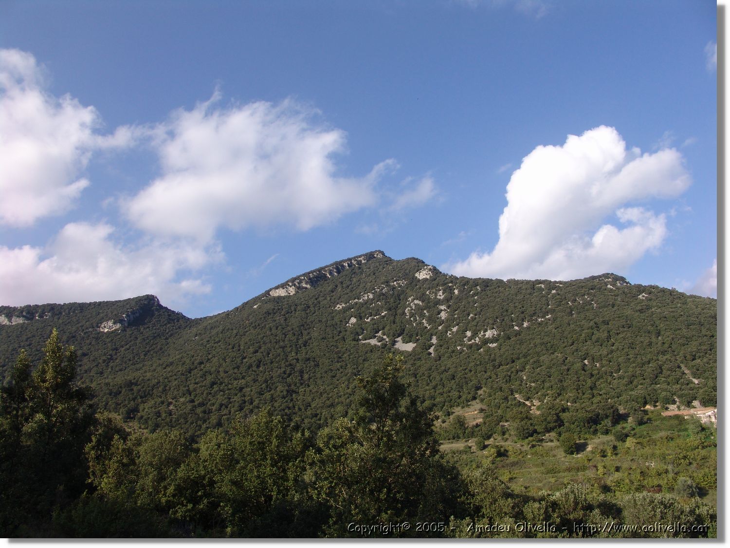 Garrotxa_058.jpg