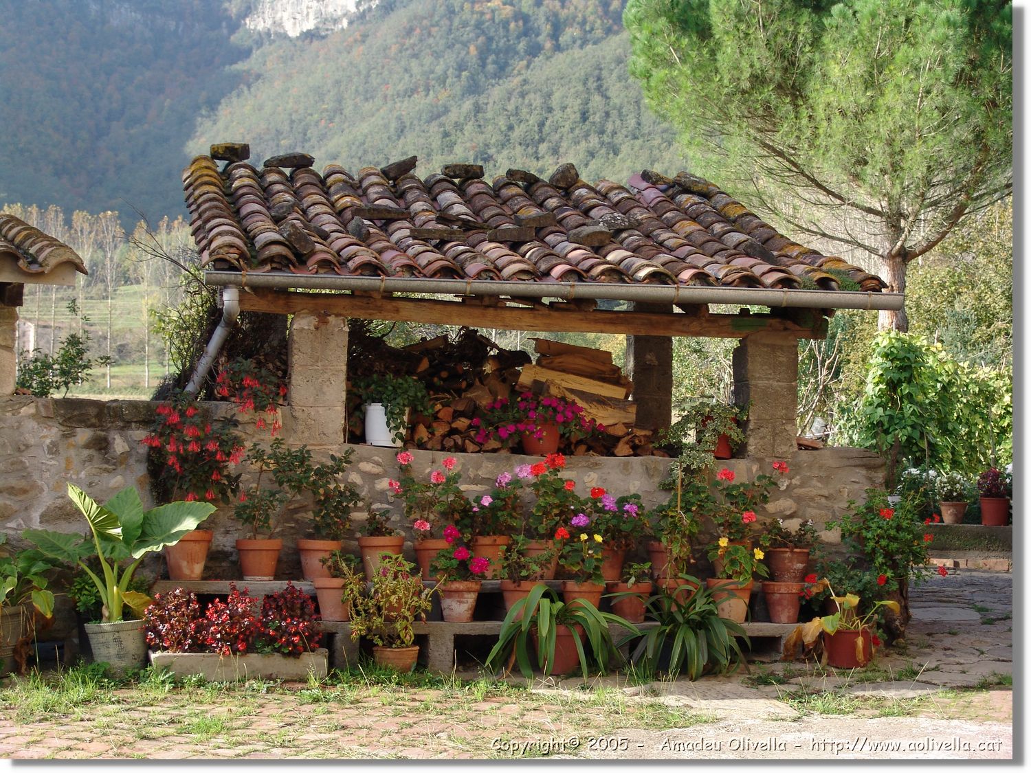 Garrotxa_083.jpg