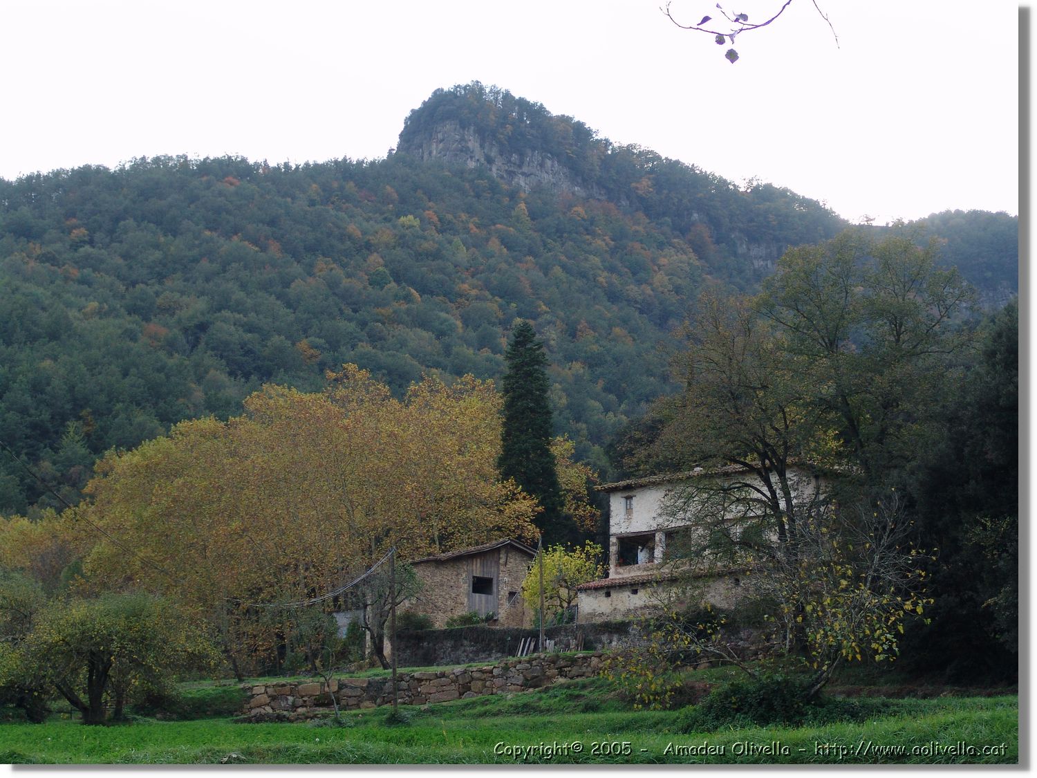 Garrotxa_169.jpg